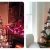 header kerstbomen winnen