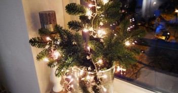 Instant kerstsfeer: kersttakken in een vaas