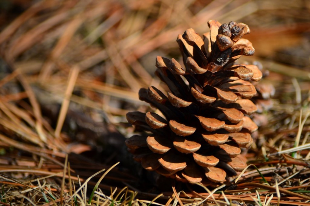 kerststukje