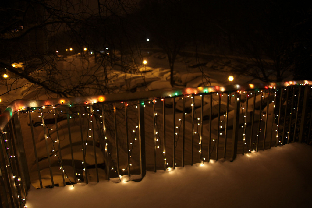 Incarijk Wonderbaarlijk Oeganda Kerstversiering in je tuin of op je balkon: 8 ideeën!