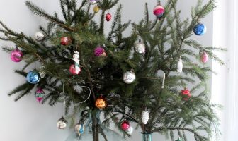 Deze 5 soorten kerstbomen zijn perfect voor als je klein woont
