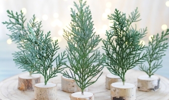 Kerstboompjes maken van Conifeer kerstboompjes maken van Conifeer