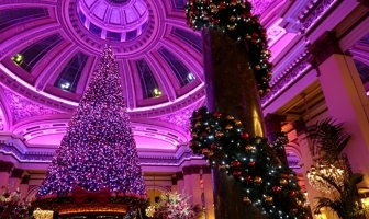 Kerst in Edinburgh: tips voor een geweldige stedentrip (+ Vlogmas!)