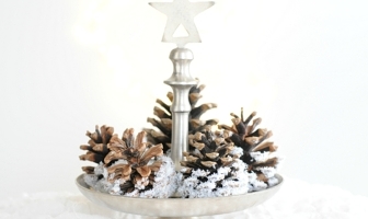 Besneeuwde dennenappels maken