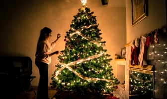 Een kerstboom huren, hoe werkt dat?