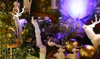 Intratuin Duiven: dansende kerstlichtjes & sprookjesachtige lelies