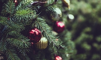 Zo versier je de kerstboom in 10 stappen!
