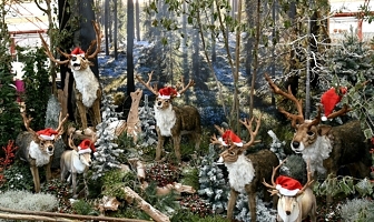 Verslag! Kerstshow bij Tuincentrum Wolters: ‘natuurlijk’ & hartstikke divers