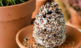 Herfstknutselen! Dennenappel met vogelzaad