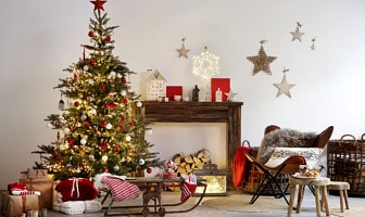 WIN! Prachtige Grandis Fir kerstboom van Everlands