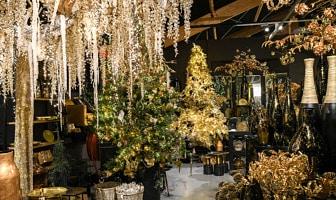 Kerstshow-verslag! Kijk je ógen uit bij Coppelmans in Nuenen
