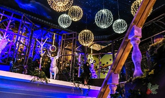 Dit zijn de mooiste kerstshows van 2021!