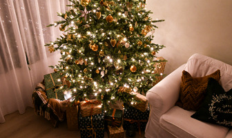 Foto’s kijken! Dit is mijn nieuwe, natuurlijke kerstboom